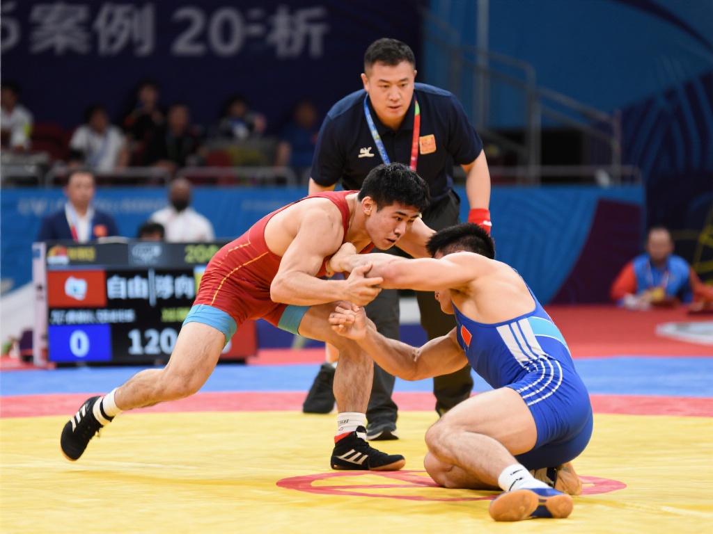 通过引进年 通过引进年